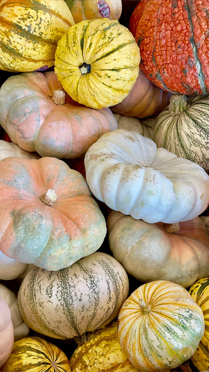Picture of pumpkins in a supermarket in Bishop, California - USA