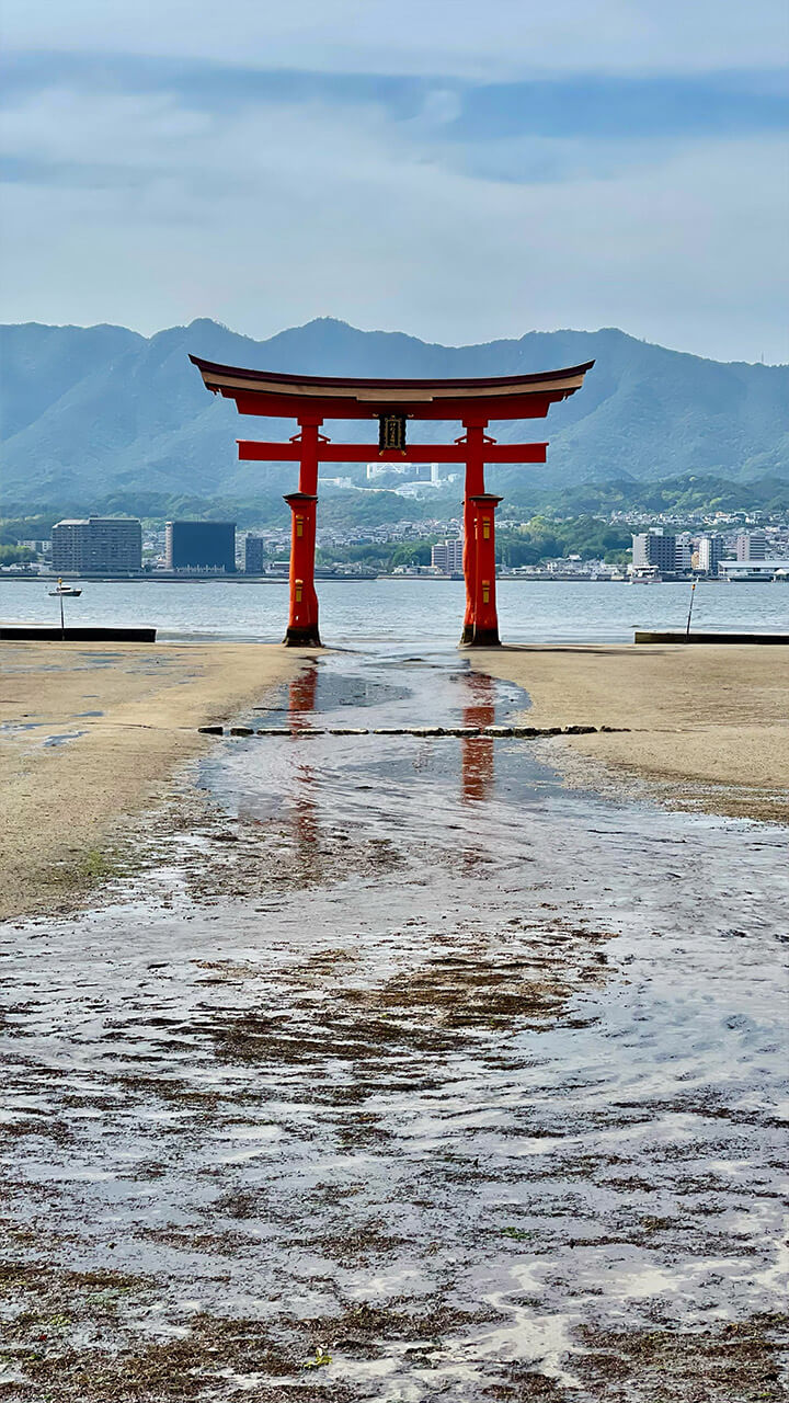 Picture of the tori of Miyajima (Japan). At low tide